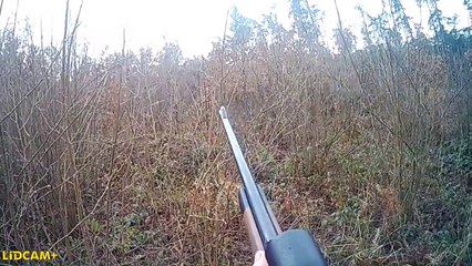 Un cerf perce l'orbite de l'œil d'un chasseur