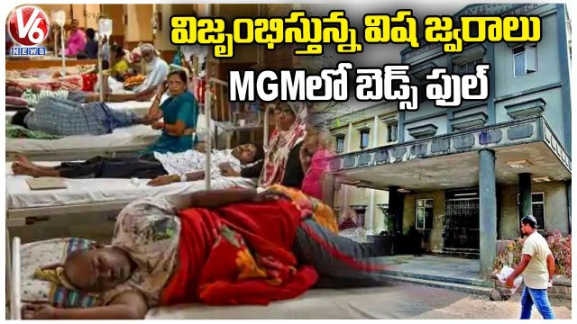 Dengue Cases Increasing In State , Shortage Of Beds For Children In Warangal MGM Hospital | V6 News (2)