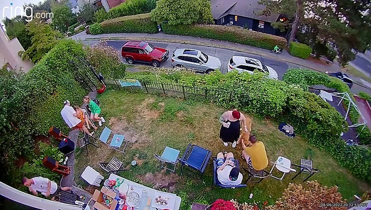 Man Playing Fetch with Dog Falls Through Bushes