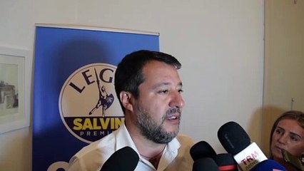 Salvini cita Elon Musk: "Dire no al nucleare è una follia"