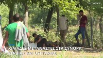 Χιλιάδες μετανάστες στα σύνορα Σερβίας και Ουγγαρίας - «Ζούμε ημέρες του 2015» λένε οι ντόπιοι