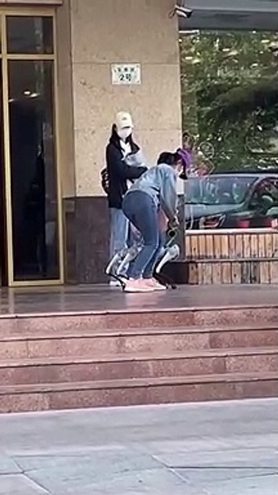 Taking a Robot Dog for a Walk