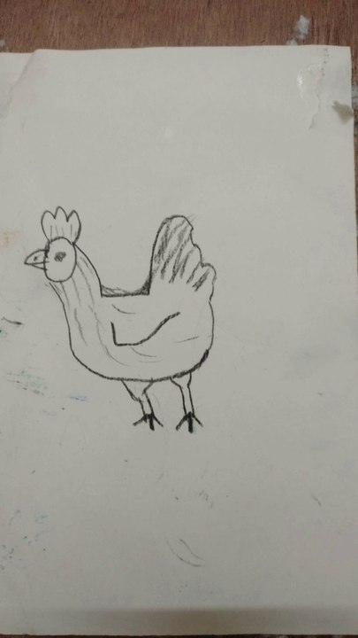Hen drawing for kids
