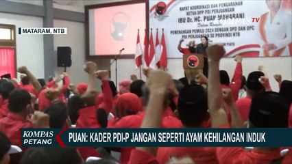 Hindari Konflik Internal Jelang Pemilu, Puan: Kader PDI-P Jangan Seperti Ayam Kehilangan Induk