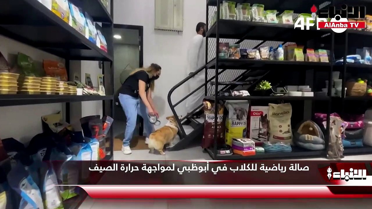 صالة رياضية للكلاب في أبوظبي لمواجهة حرارة الصيف