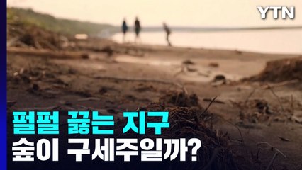 지구온난화엔 나무가 구세주?...'숲 맹신' 말아야 / YTN