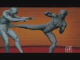 Human Weapon - MMA - Spinning Back Kick