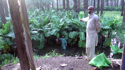 Pakistán, que llora un millar de decesos, se prepara para nuevas inundaciones