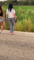 The Forbidden 'Wild' Corn Dogs