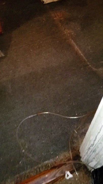 Really Bad Bedbug Infestation