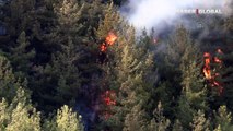 Kahramanmaraş'ta orman yangını: Havadan ve karadan müdahale ediliyor