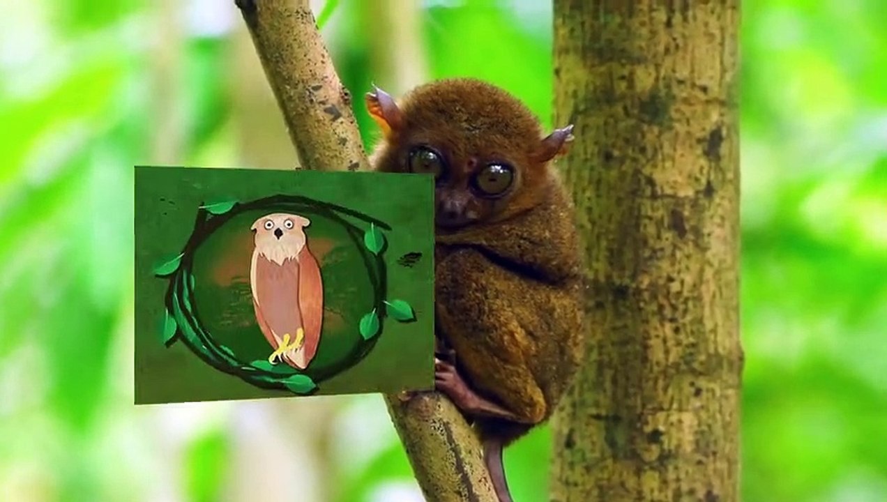 Strange Monkeys You Won't Believe Actually Exist