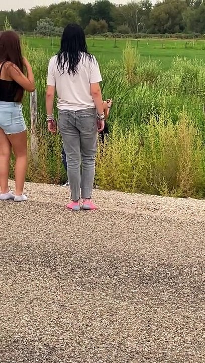 The Forbidden 'Wild' Corn Dogs