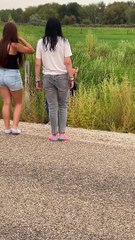 The Forbidden 'Wild' Corn Dogs