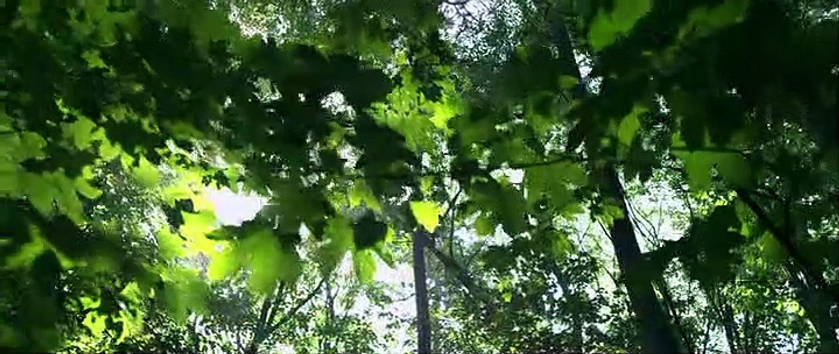 Street Fighter II V Filme 1 - Part 02 HD Deutsch