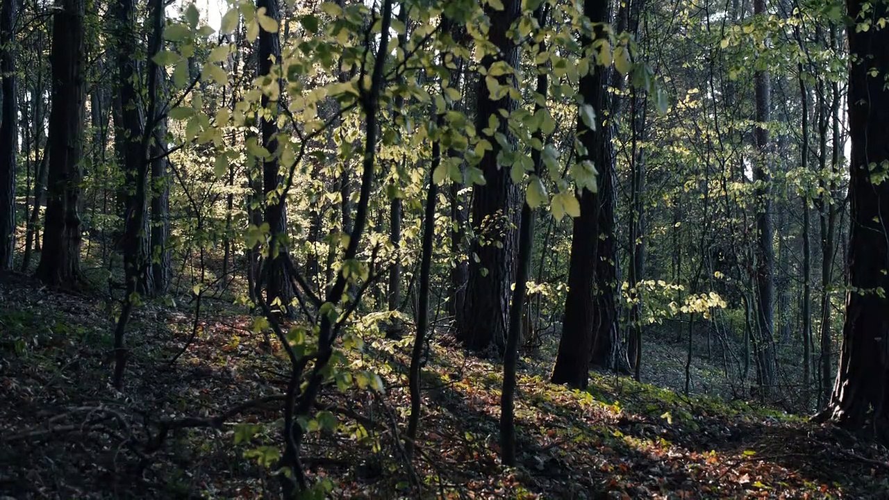 Tannbach - Schicksal eines Dorfes Staffel 1 Folge 3 - Part 02 HD Deutsch