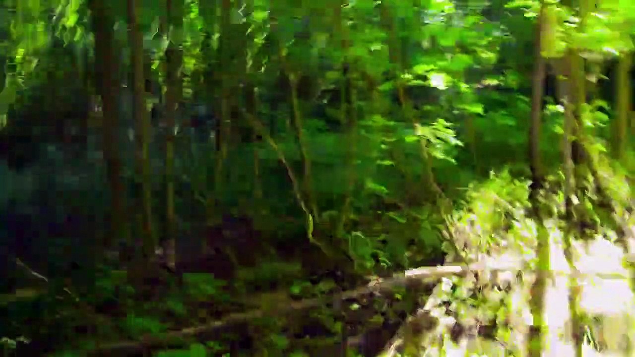 Fluch des Falken Staffel 2 Folge 40 HD Deutsch