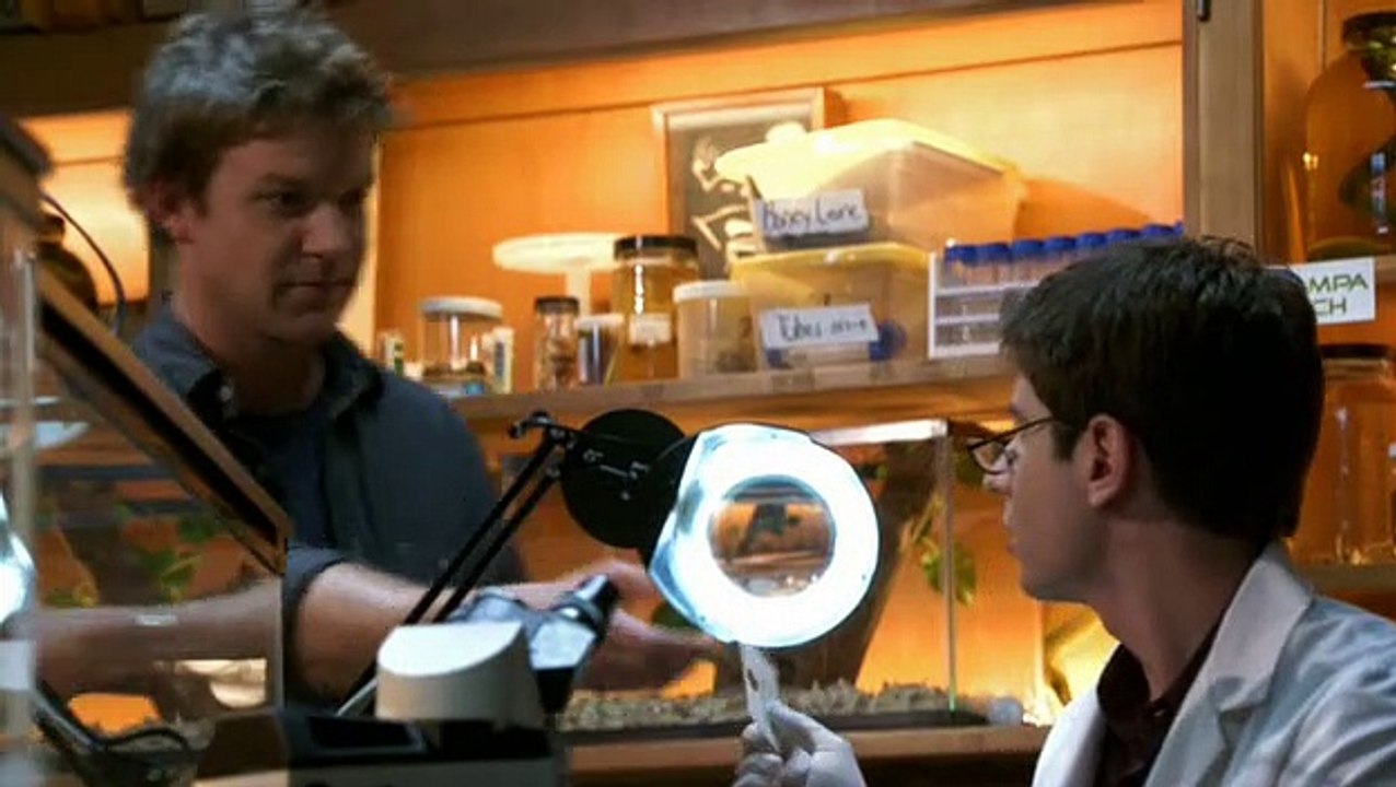 The Glades Staffel 1 Folge 1 HD Deutsch