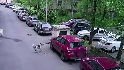 Idiots on Cars 2021 Episode 1