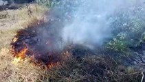 Incêndio ambiental mobiliza Corpo de Bombeiros no Verona