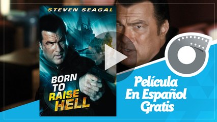 Nacido Para el Infierno - To Raise Hell - Steven Seagal Película En Español Gratis - Vídeo Dailymotion
