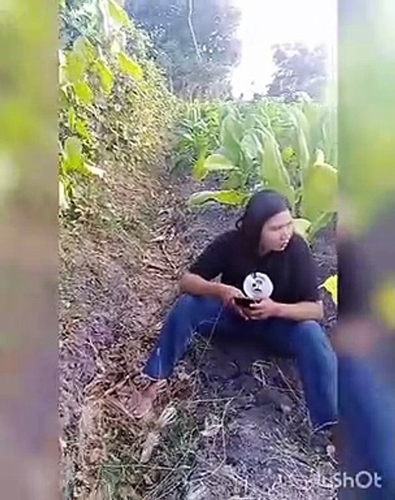Hasil pupuk biobost pada petani tembakau