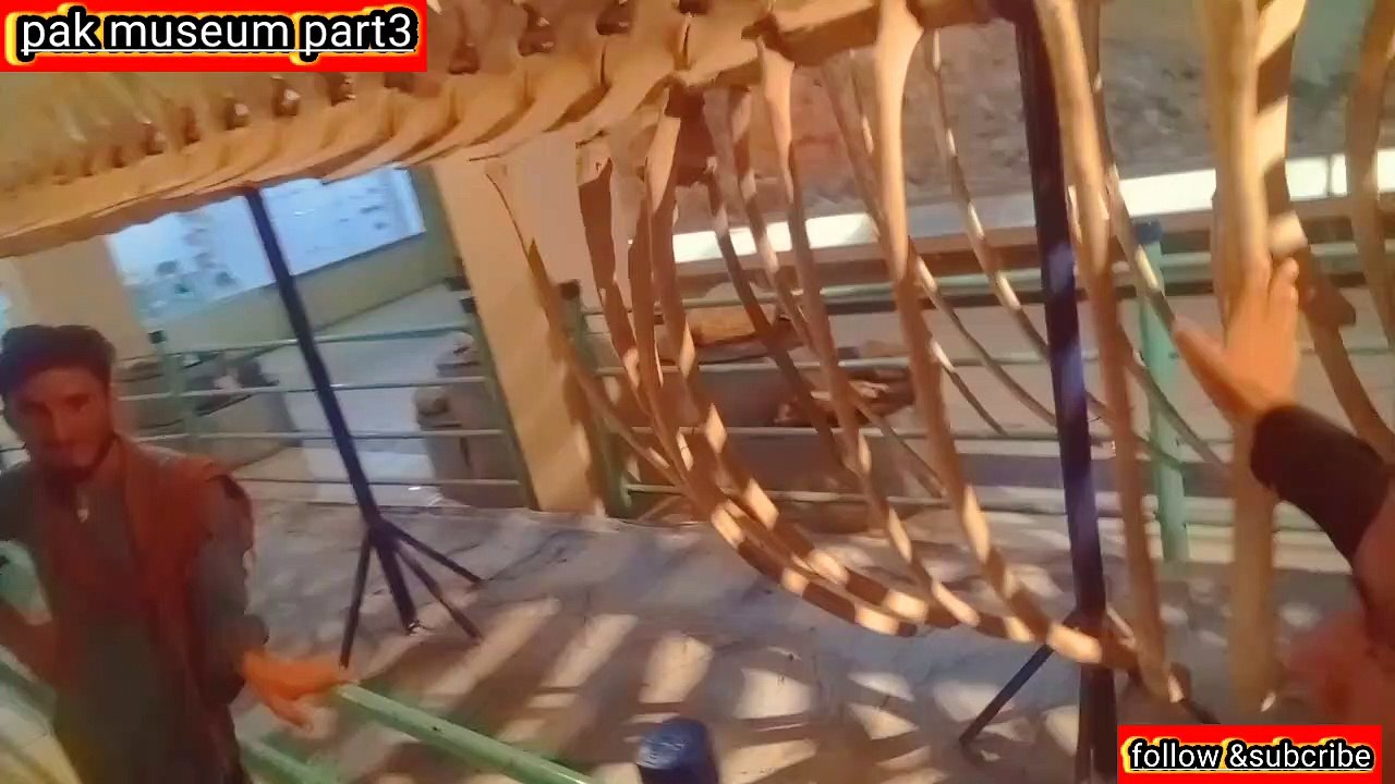 pakistan museum part3 blog