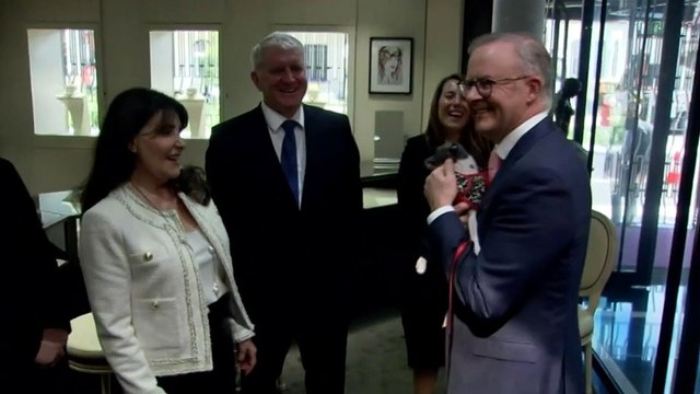 Anthony Albanese celebrates 100 days as Prime Minister