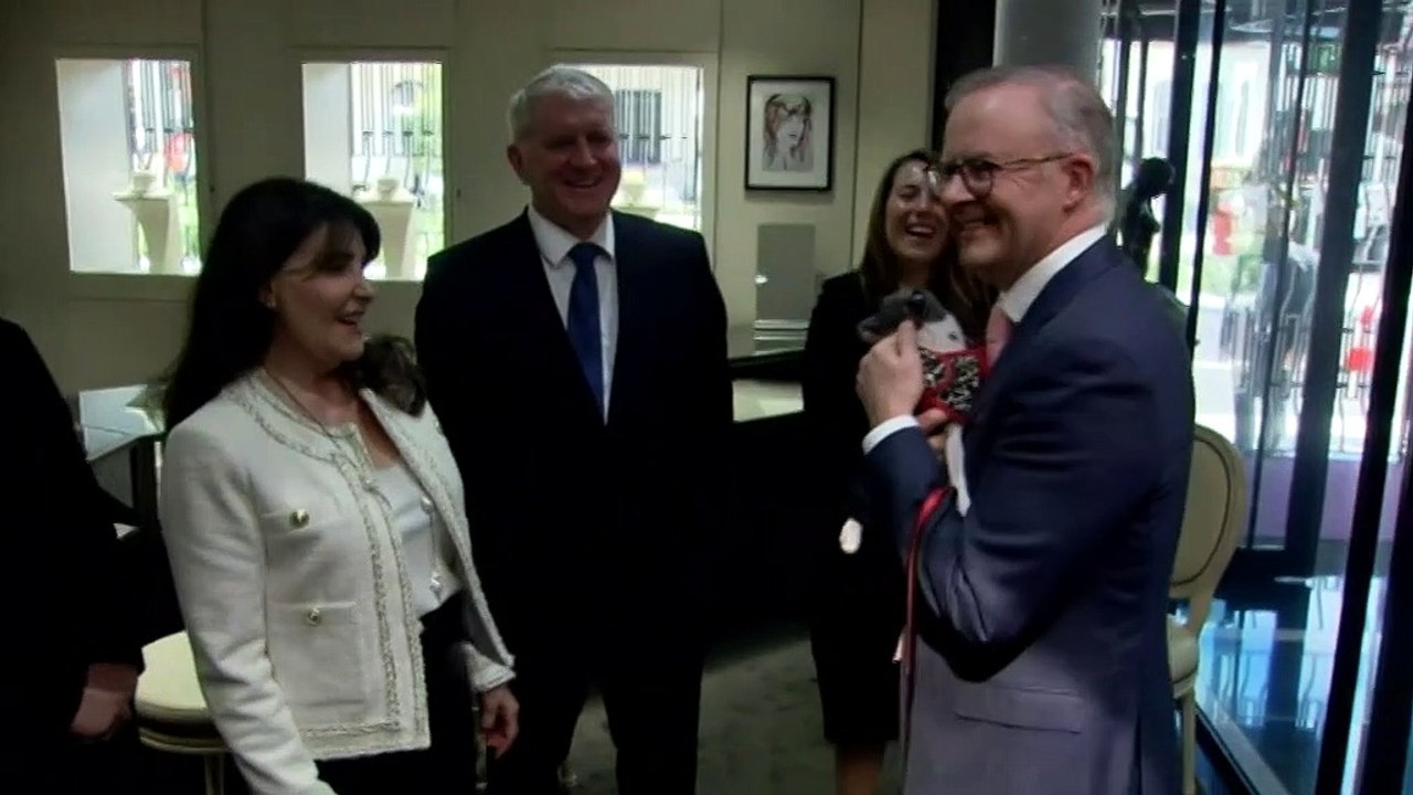 Anthony Albanese celebrates 100 days as Prime Minister