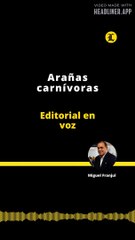 Editorial: Arañas Carnívoras