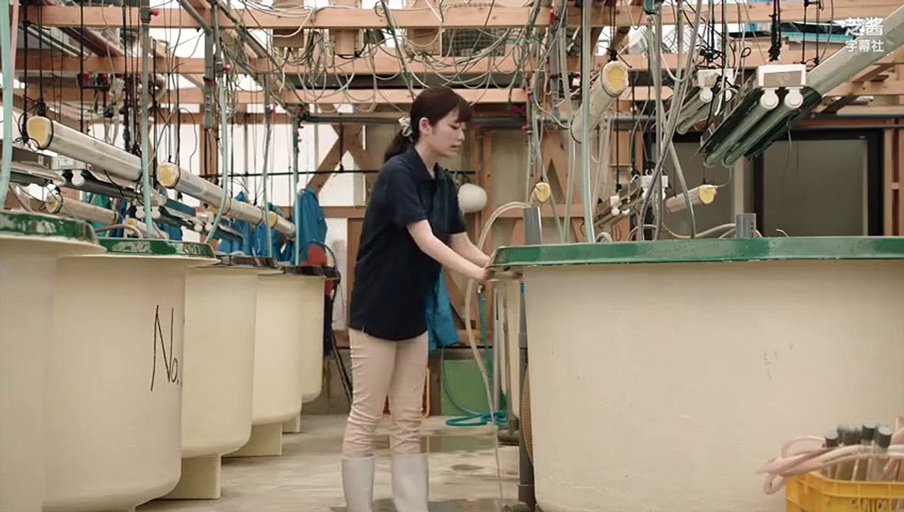 日劇 » 金槍魚女孩 SP - PART2