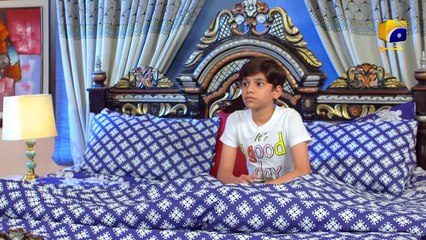 Guddu Episode 11        Ali Abbas   Fatima Effendi   Sohail Sameer