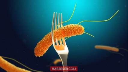 Salmonella bakterisi nedir, nasıl bulaşır? Salmonella neden olur?