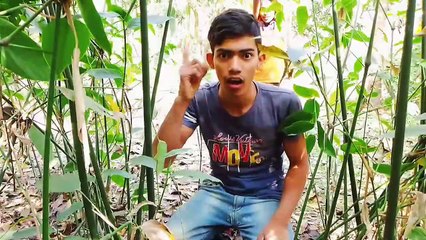 must watch new funny video 2022 top new comedy  noakhali pola1