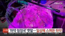 '마약 청정국' 옛말…일상에 스며든 마약