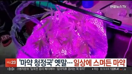 Video herunterladen: '마약 청정국' 옛말…일상에 스며든 마약