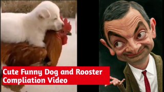 Cute Funny Dog And Rooster compliation Video।। Funny Riding On Rooster/Chiken। कुत्ता और मुर्गे का funny video