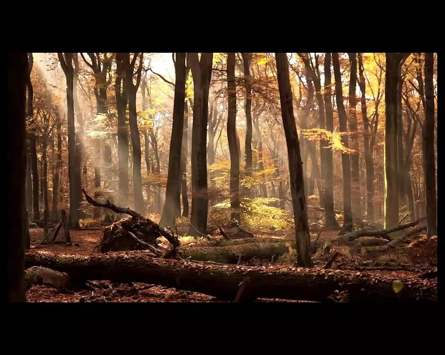 Clean Soul Calming Music | 5 Minute Meditation