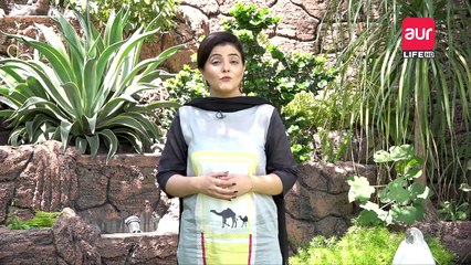 aur Kay Mehmaan | Episode 21 | Celebrities |  Dr Jamal Nasir | aur Life Exclusive