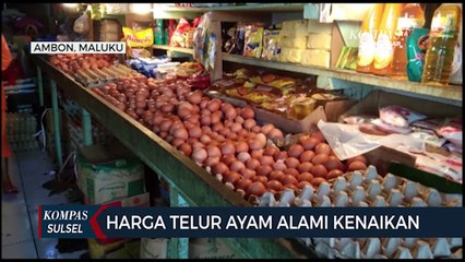 Harga Telur Ayam Alami Kenaikan