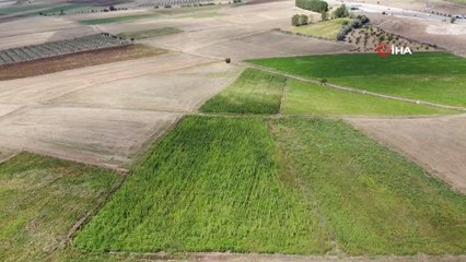 40 yıldır atıl fabrika devlet desteğiyle ayağa kalkıyor