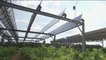 Sécheresse - Des panneaux solaires pour protéger les vignes