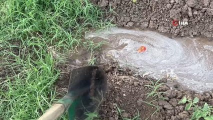 16 yıldır kiraladığı tarlalarda sebze ve meyve yetiştirip geçimini sağlıyor