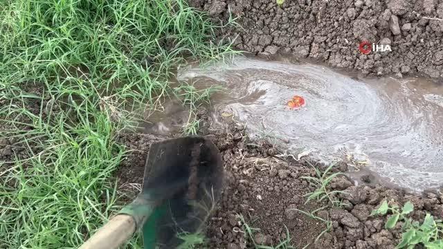 16 yıldır kiraladığı tarlalarda sebze ve meyve yetiştirip geçimini sağlıyor