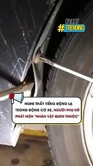 Nghe thấy tiếng động lạ trong động cơ xe người phụ nữ phát hiện nhân vật quen thuộc