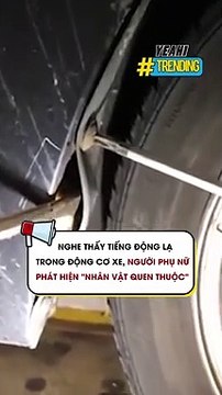 Nghe thấy tiếng động lạ trong động cơ xe người phụ nữ phát hiện nhân vật quen thuộc