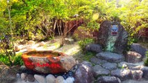 Hot Springs so hot they are called HELLS of Beppu, Japan. You must see this! 4K part2