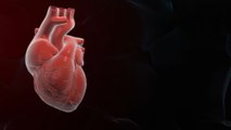 Les signes de maladie cardiaque pourraient être plus subtils chez les femmes que chez les