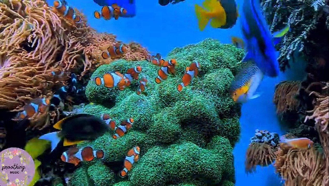 Removes All Negative Energy |  Healing Sounds | Cleans The Aura And Space |Motivation Music