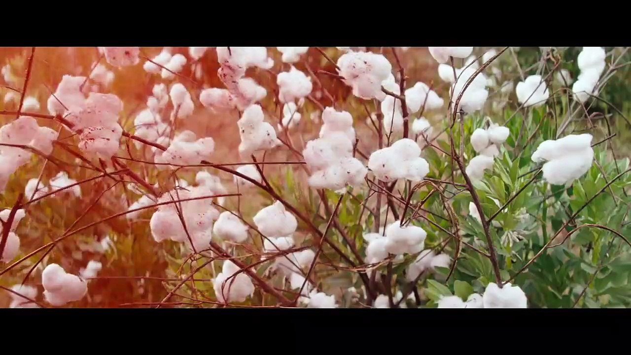 Django Unchained Bande-annonce (FR)